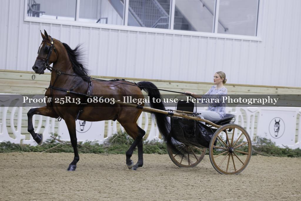 Proof Number 25R13_08603