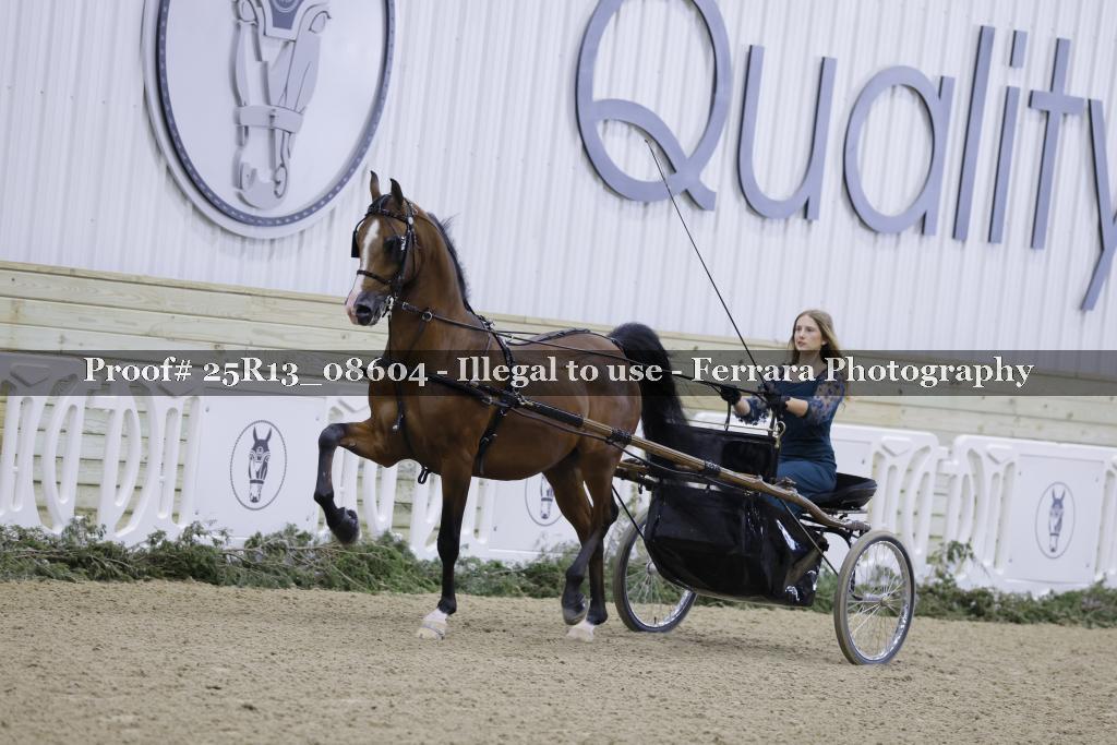 Proof Number 25R13_08604