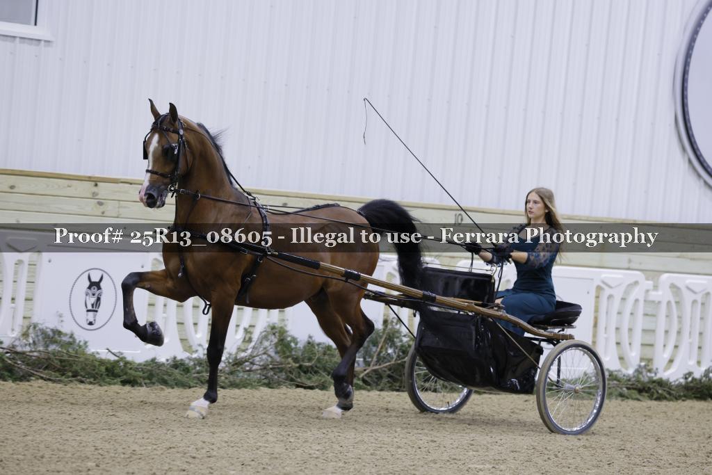 Proof Number 25R13_08605