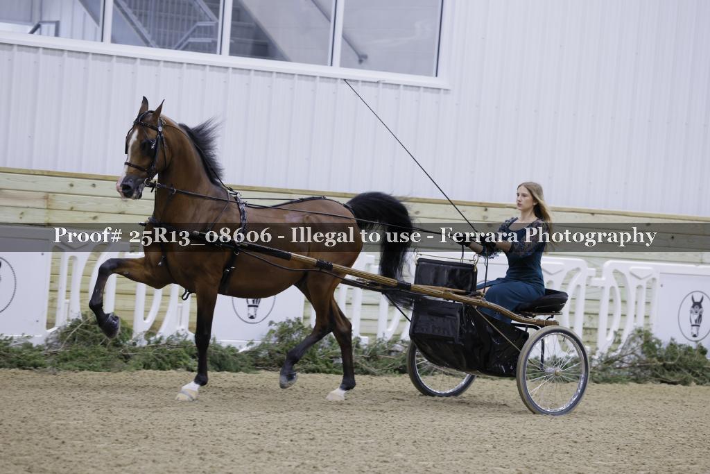 Proof Number 25R13_08606