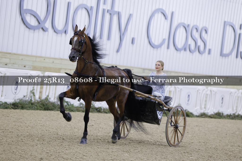 Proof Number 25R13_08608
