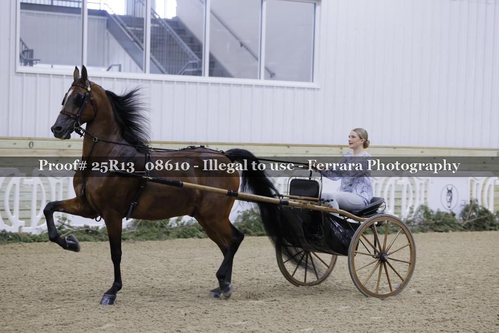 Proof Number 25R13_08610