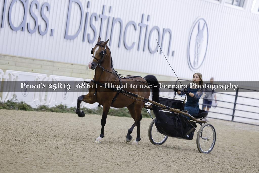 Proof Number 25R13_08611