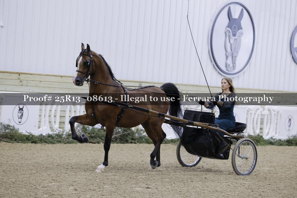 Proof Number 25R13_08613