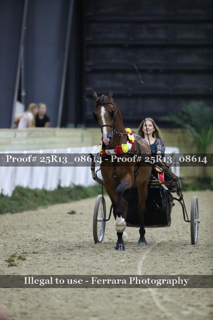 Proof Number 25R13_08614