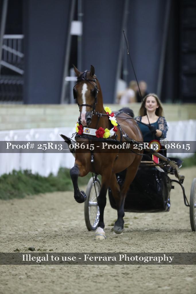 Proof Number 25R13_08615