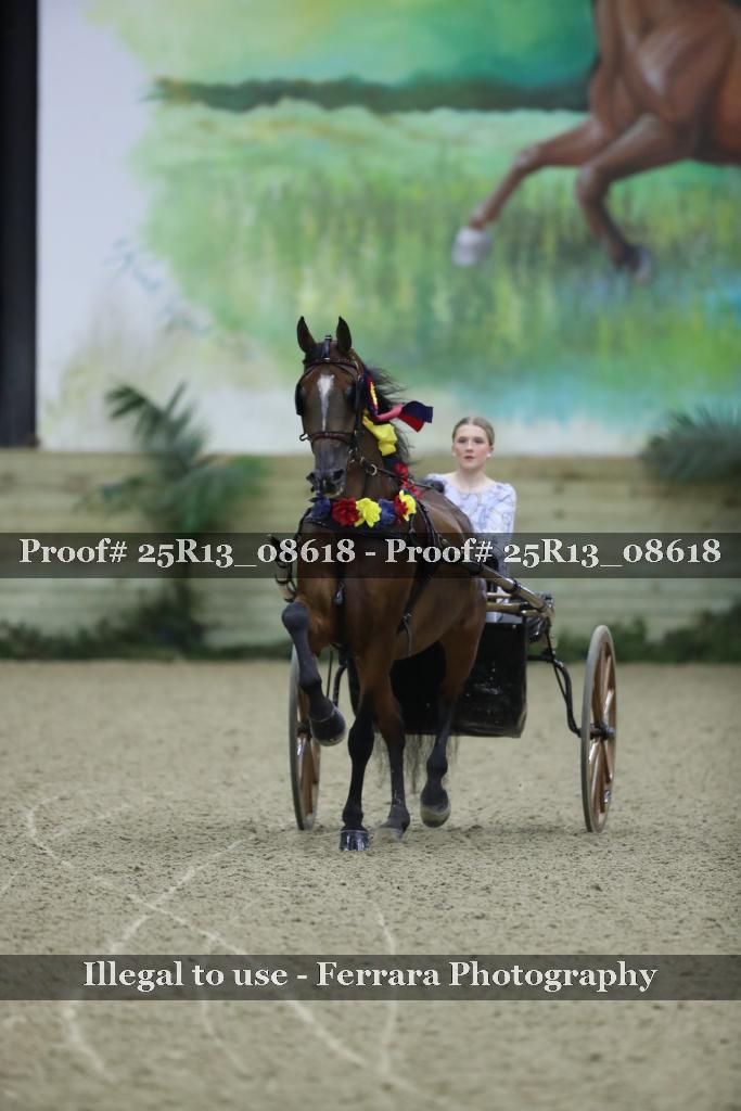 Proof Number 25R13_08618
