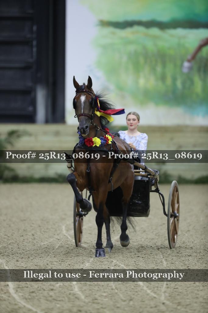 Proof Number 25R13_08619