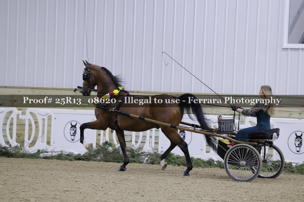 Proof Number 25R13_08620