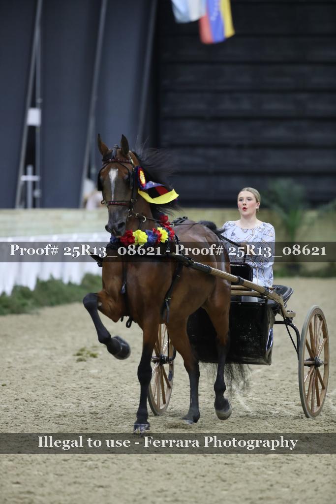 Proof Number 25R13_08621
