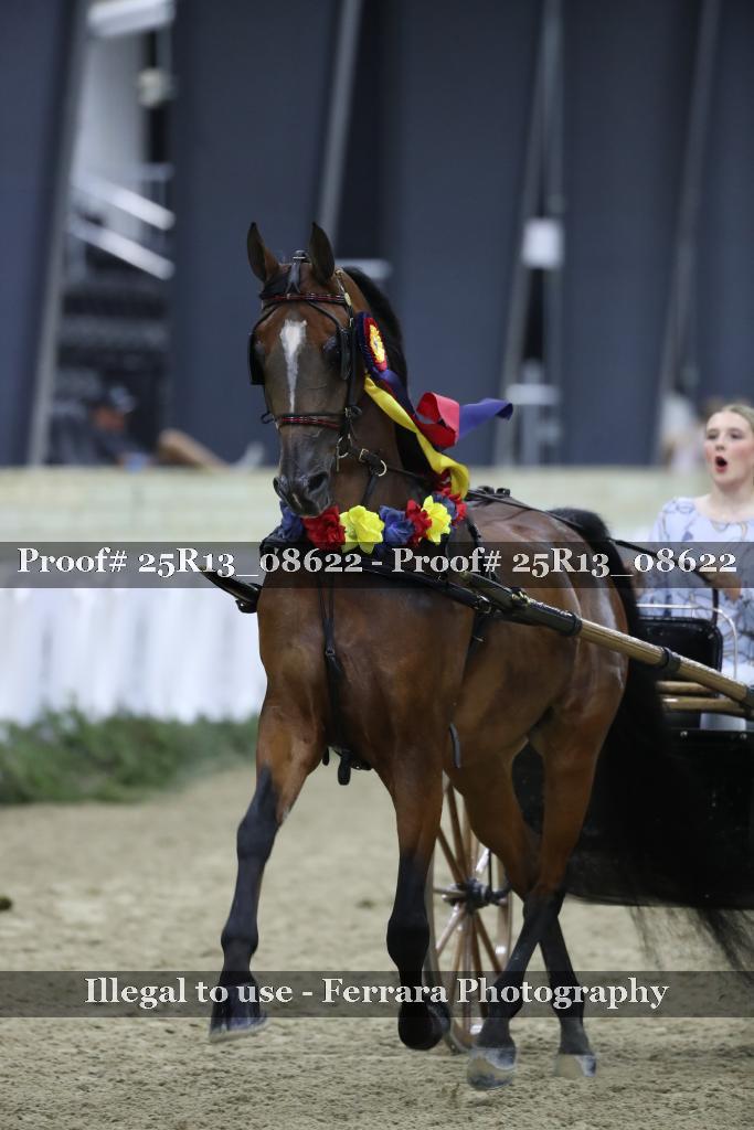 Proof Number 25R13_08622