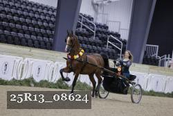 25R13_08624 thumbnail