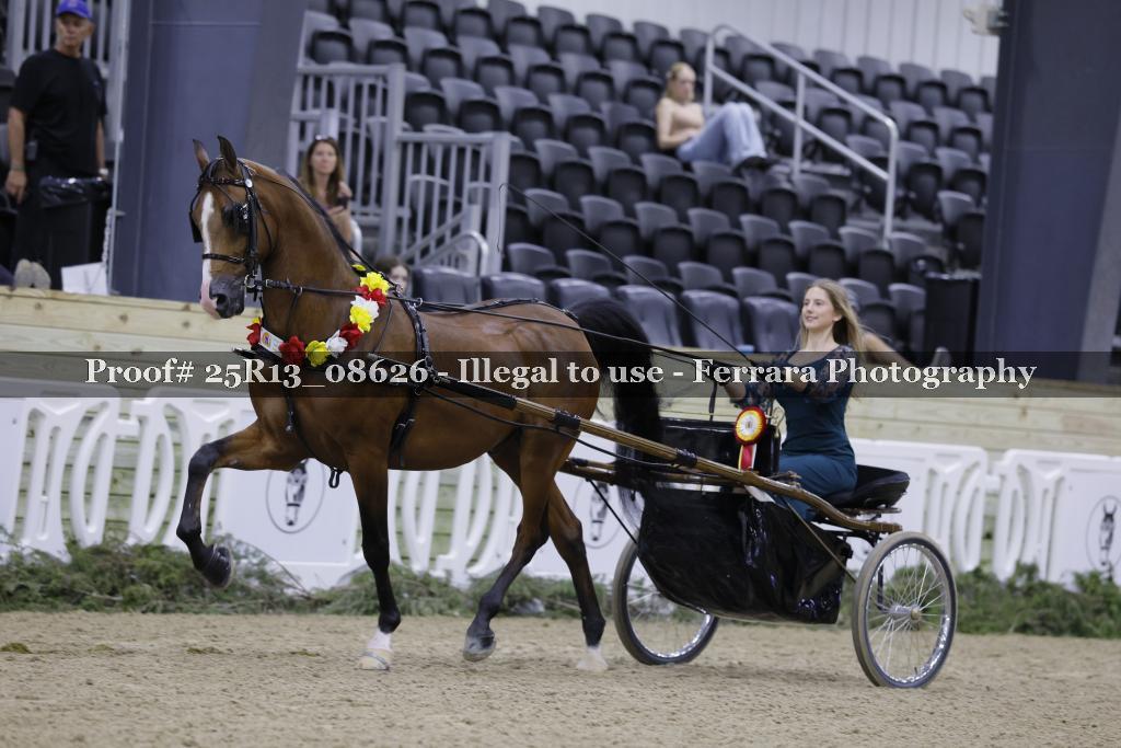 Proof Number 25R13_08626