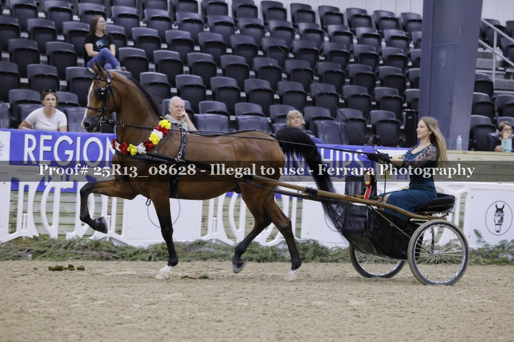 Proof Number 25R13_08628