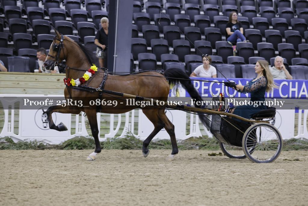 Proof Number 25R13_08629