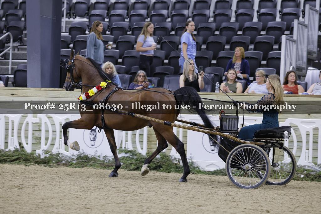 Proof Number 25R13_08630