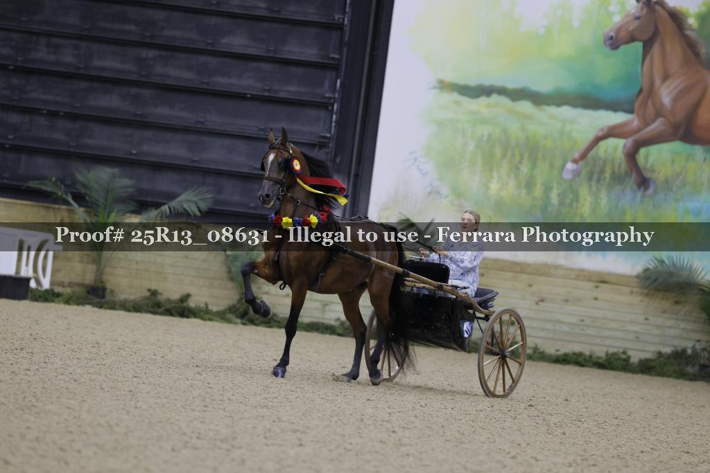 Proof Number 25R13_08631