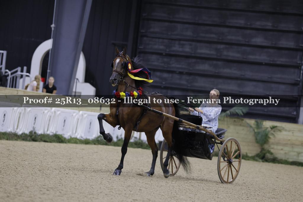 Proof Number 25R13_08632