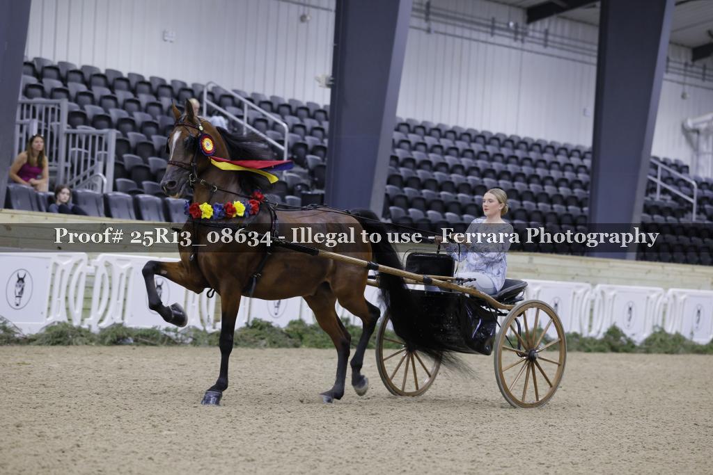 Proof Number 25R13_08634