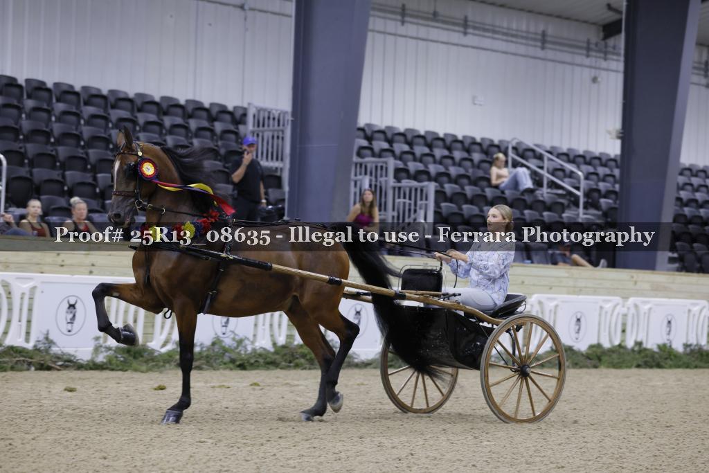Proof Number 25R13_08635