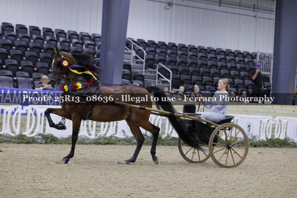 Proof Number 25R13_08636