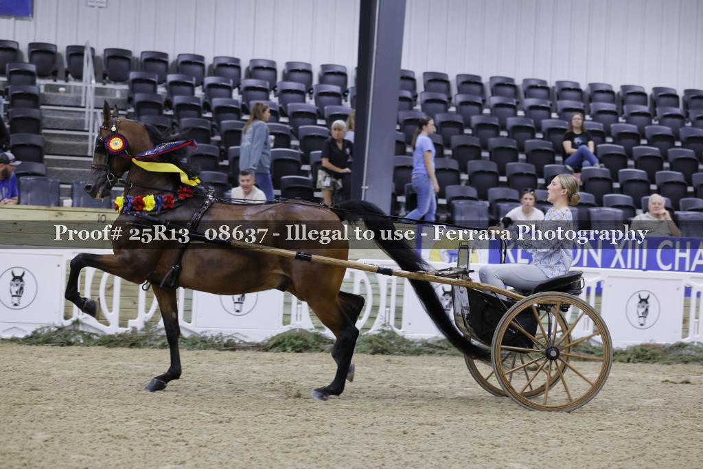 Proof Number 25R13_08637