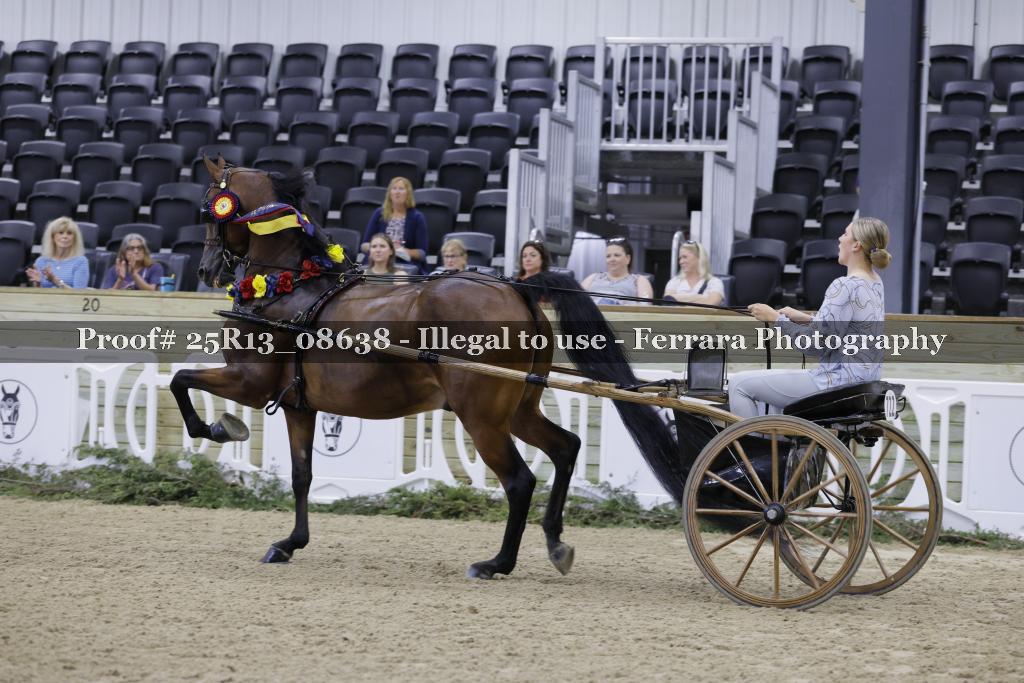Proof Number 25R13_08638