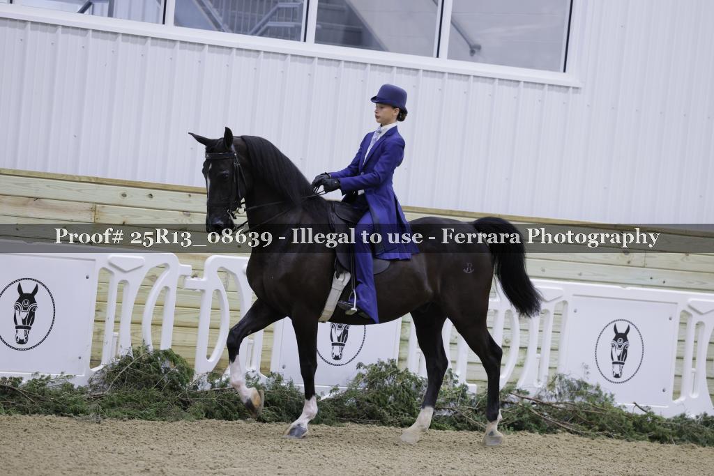 Proof Number 25R13_08639