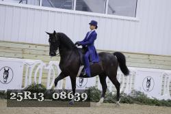 25R13_08639 thumbnail