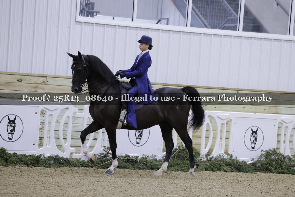 Proof Number 25R13_08640