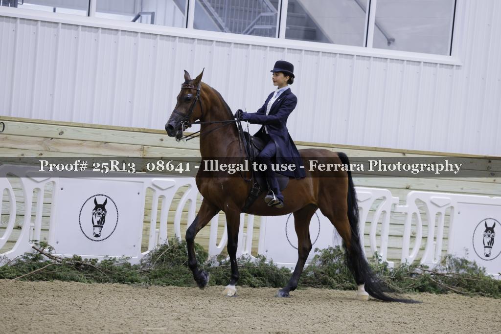 Proof Number 25R13_08641