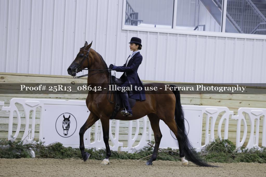 Proof Number 25R13_08642