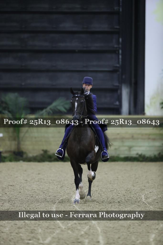 Proof Number 25R13_08643