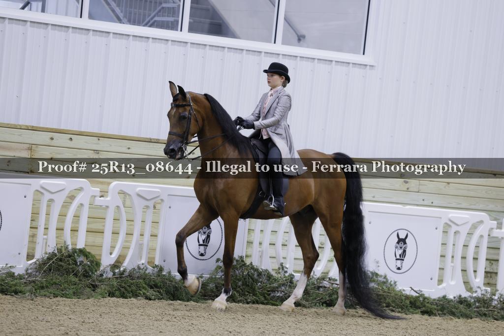Proof Number 25R13_08644