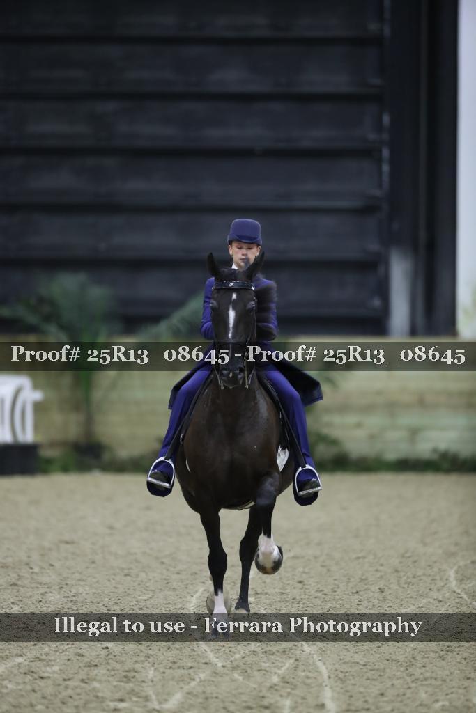 Proof Number 25R13_08645