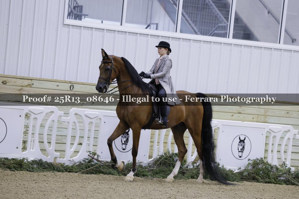 Proof Number 25R13_08646
