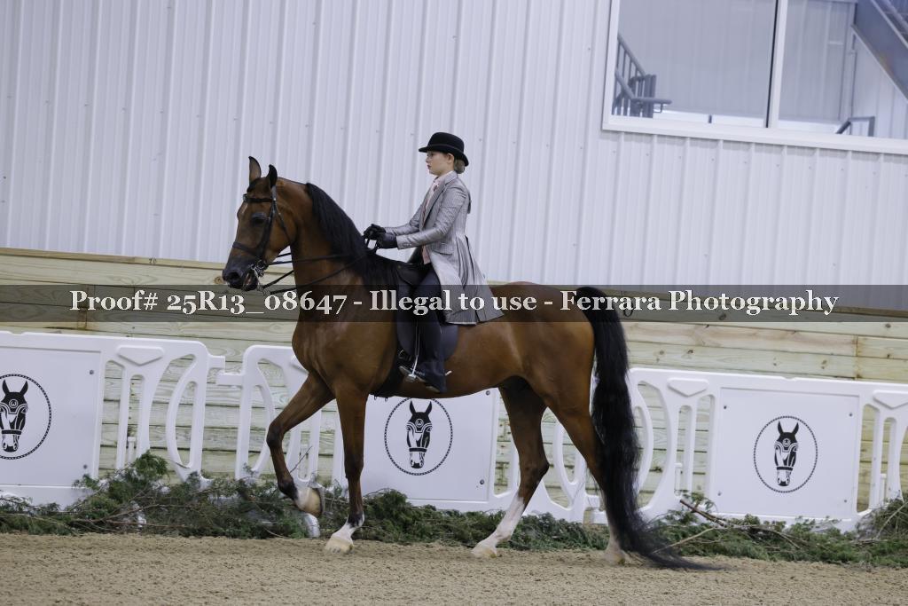 Proof Number 25R13_08647