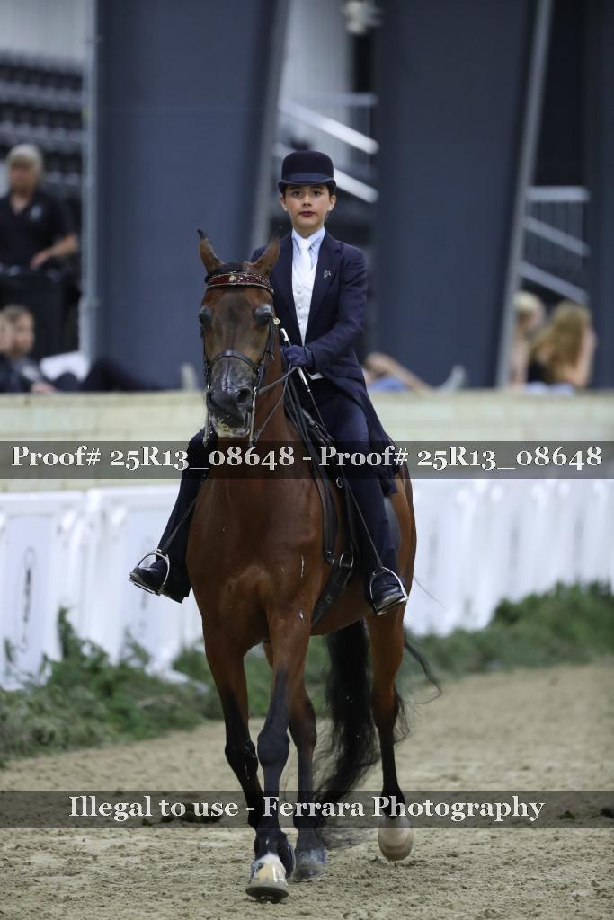 Proof Number 25R13_08648
