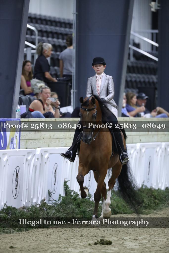 Proof Number 25R13_08649