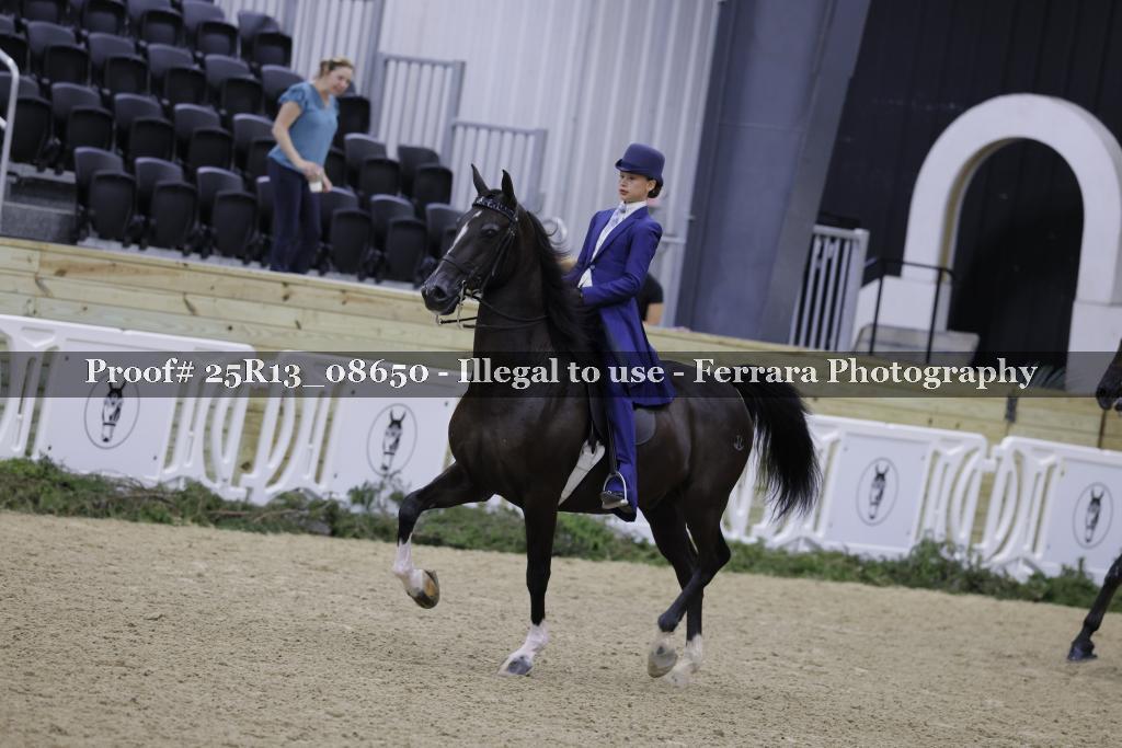 Proof Number 25R13_08650