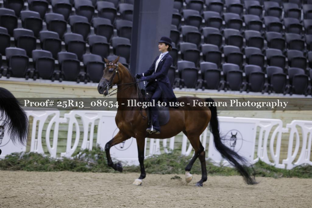 Proof Number 25R13_08654