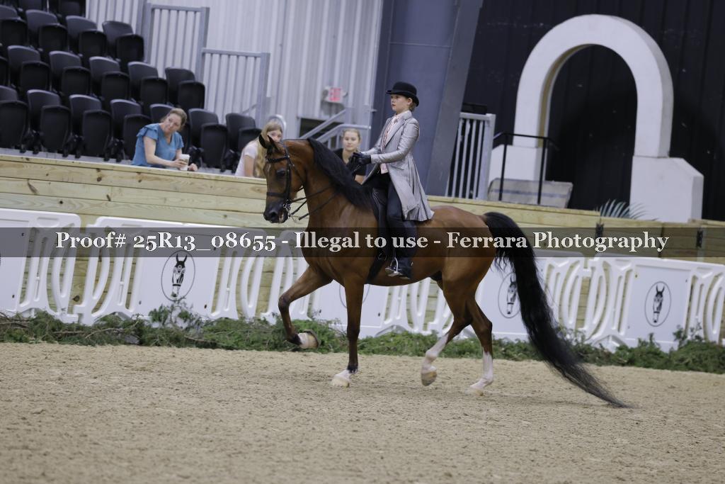Proof Number 25R13_08655