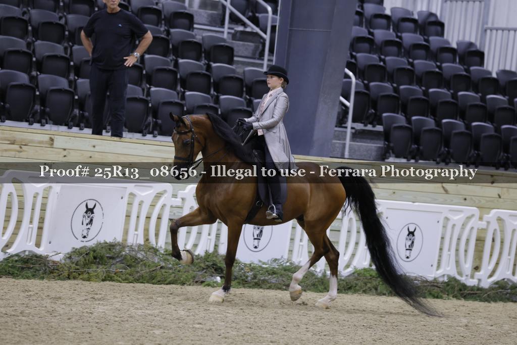 Proof Number 25R13_08656