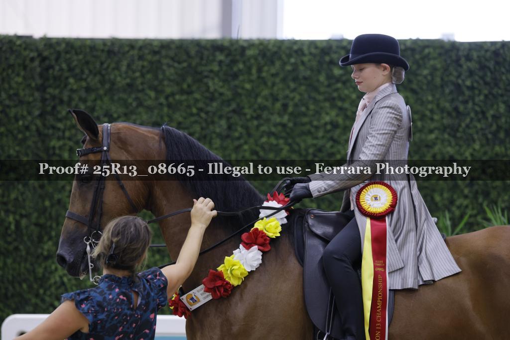 Proof Number 25R13_08665