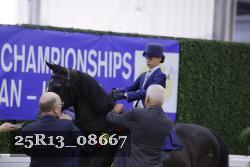 25R13_08667 thumbnail
