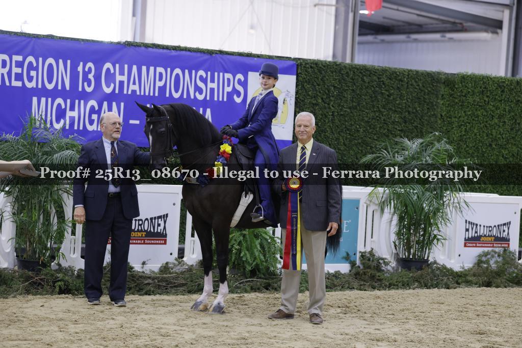 Proof Number 25R13_08670