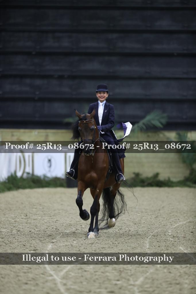 Proof Number 25R13_08672