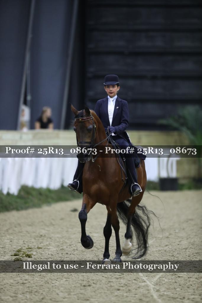 Proof Number 25R13_08673