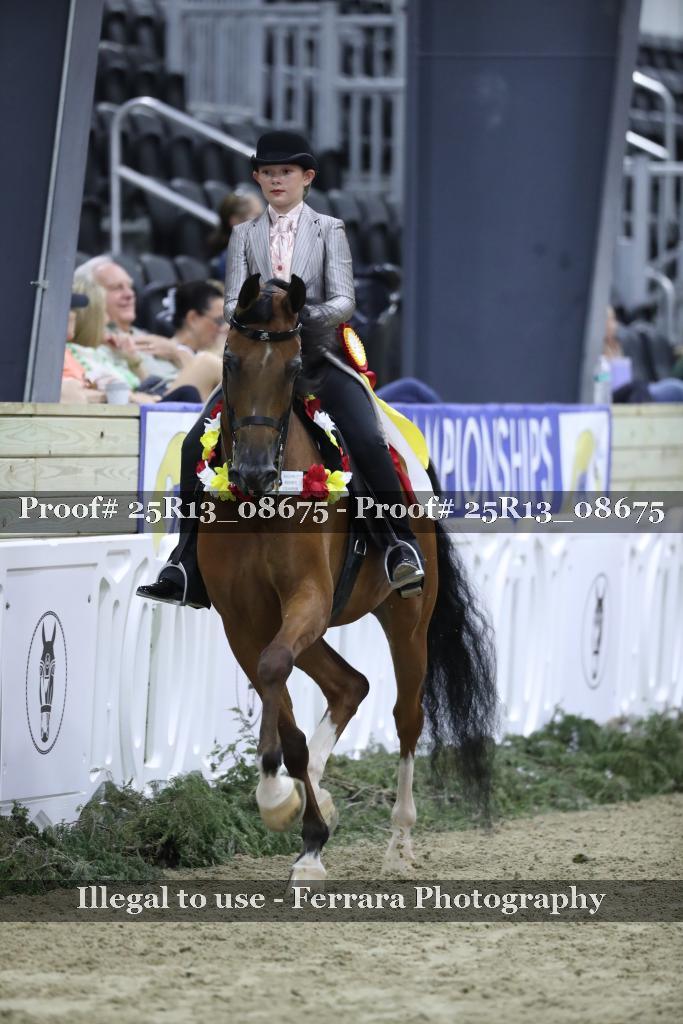 Proof Number 25R13_08675