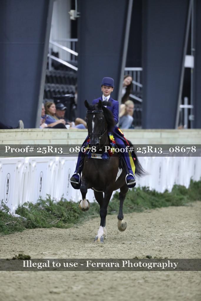 Proof Number 25R13_08678